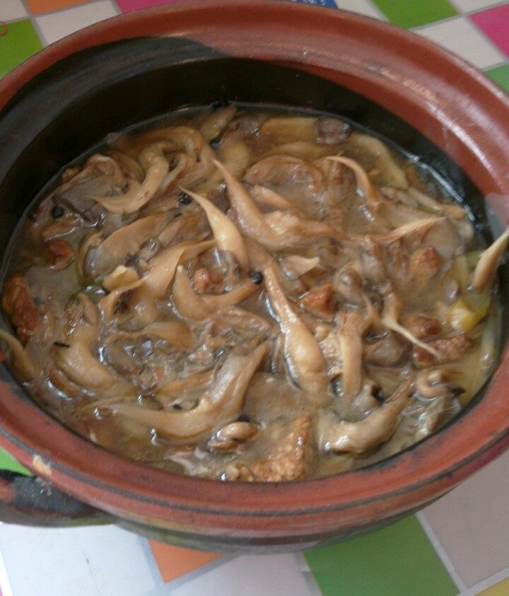 砂锅炖蘑菇步骤14