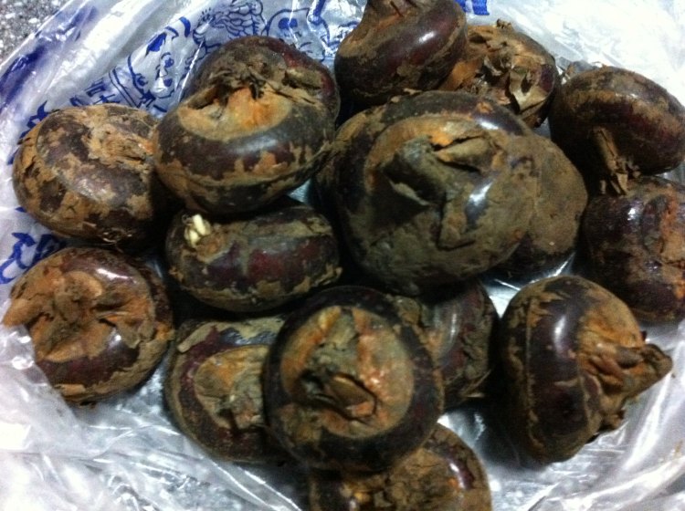 糖水荸荠步骤1
