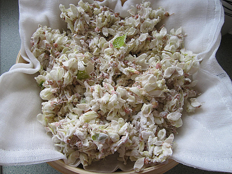 原味面粉蒸槐花步骤7