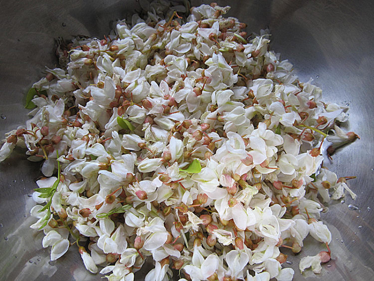 原味面粉蒸槐花步骤4