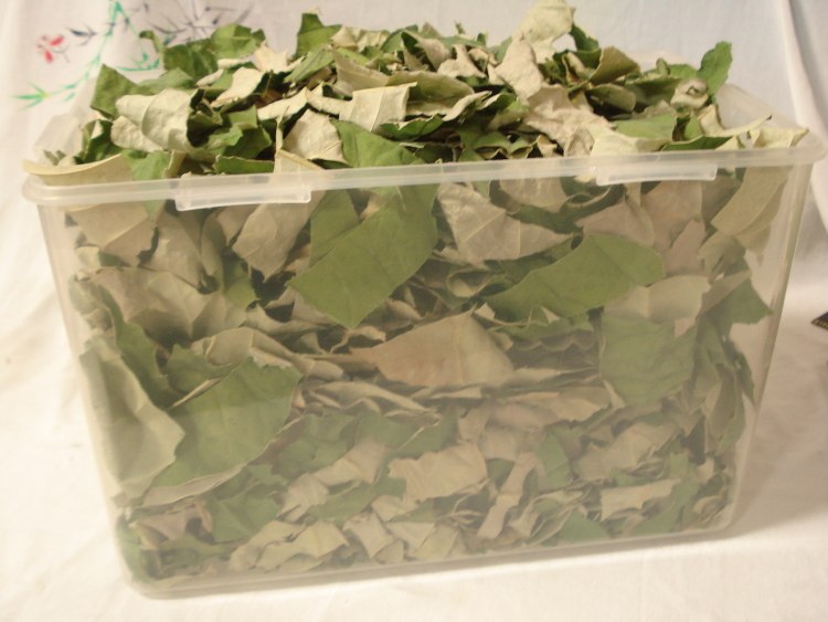 荷叶茶步骤5