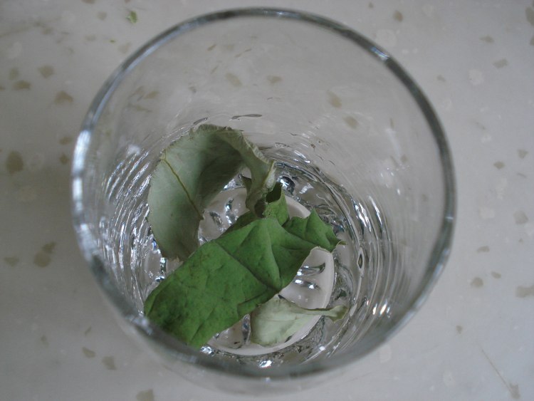 荷叶茶步骤6