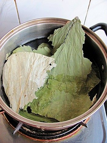 荷叶绿豆汤步骤2