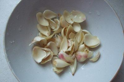 荷叶绿豆粥步骤3