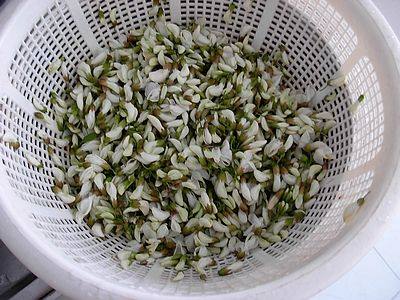 鲜槐花炒木耳步骤2