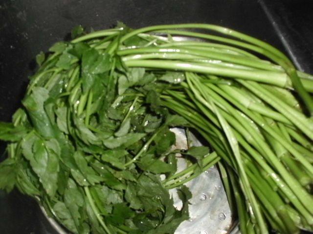 降压降脂的炒野芹步骤1