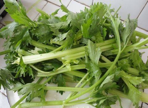 小芹菜炒豆干步骤3