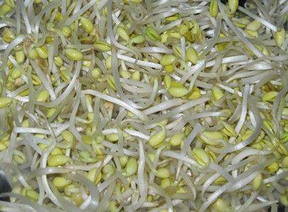 豆芽炒芹菜步骤1