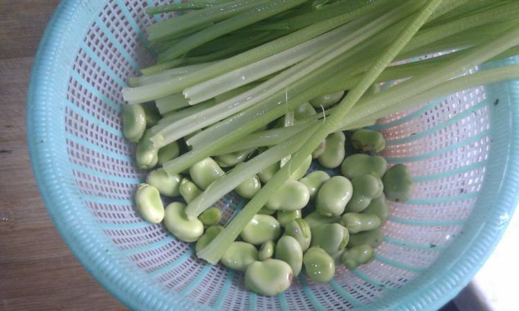 芹菜炒蚕豆步骤1