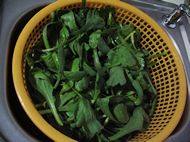 茼蒿鱼头汤步骤3