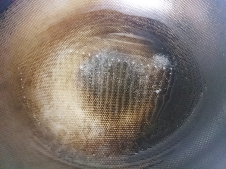 鱼头煮豆腐步骤4