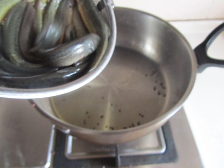 泥鳅炖豆腐步骤4