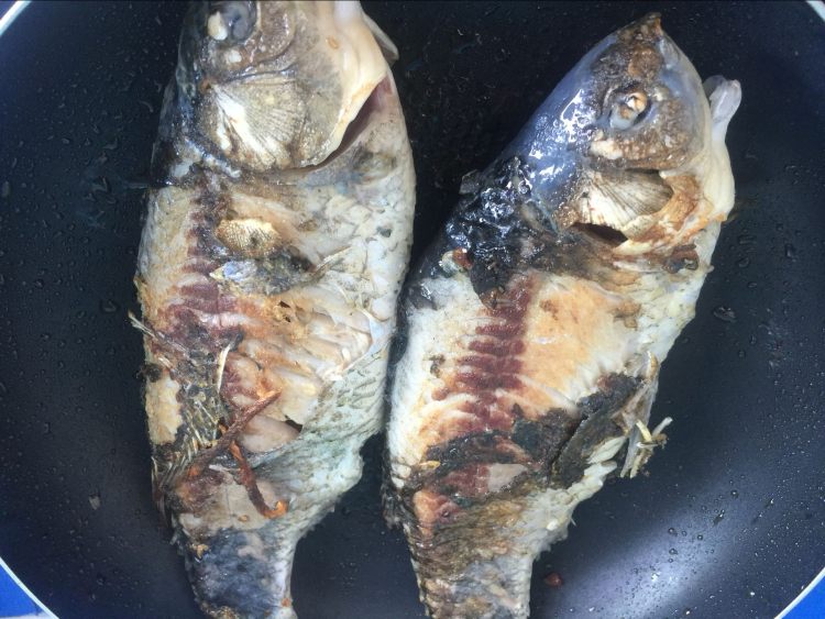 鲫鱼白菜豆腐汤步骤2