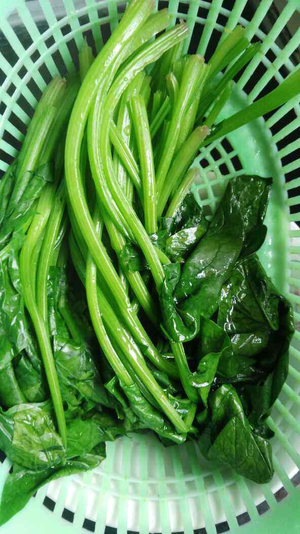 芝麻拌菠菜步骤3