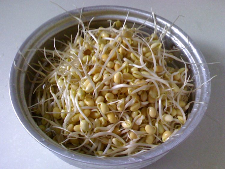 素煸韭菜黄豆芽步骤1