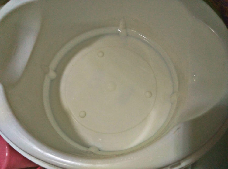 自制蓝莓酸奶步骤4