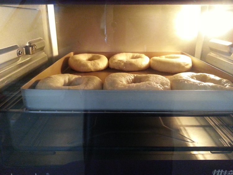 【手工美食】原味贝果步骤10