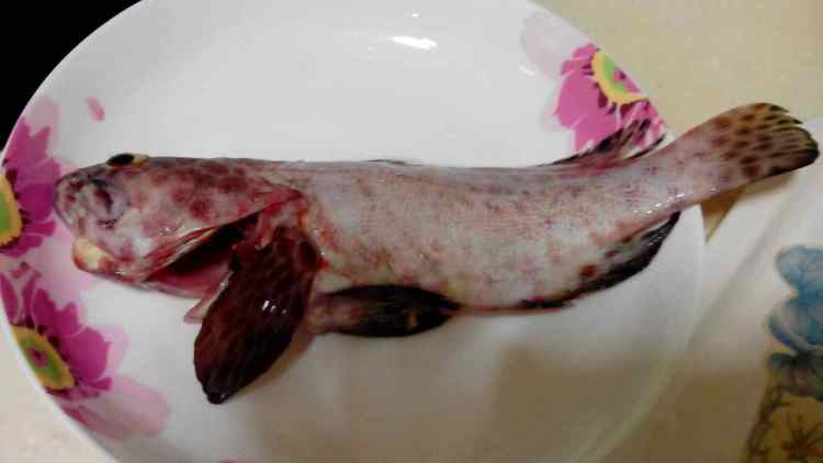 麻油石斑鱼步骤1
