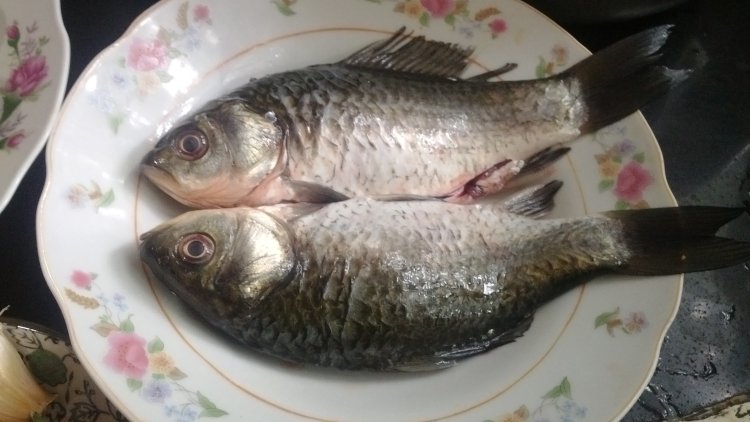 鲫鱼杂菇豆腐煲步骤1