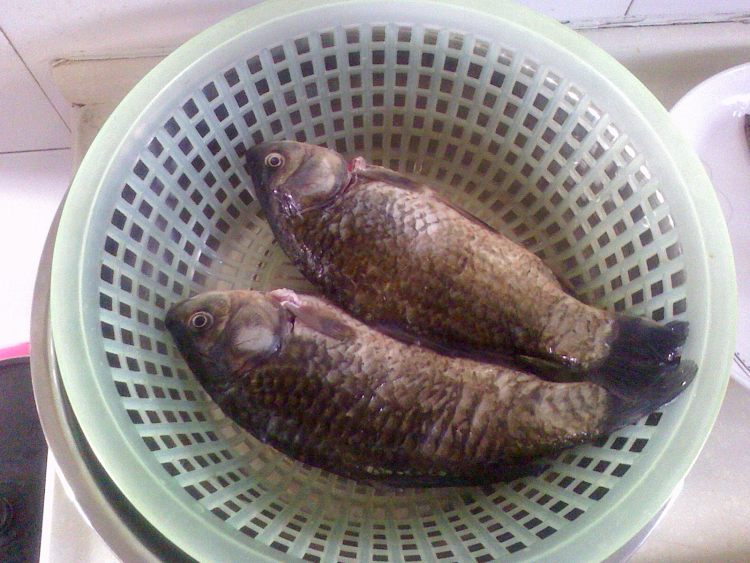 黑豆鲫鱼粥步骤2
