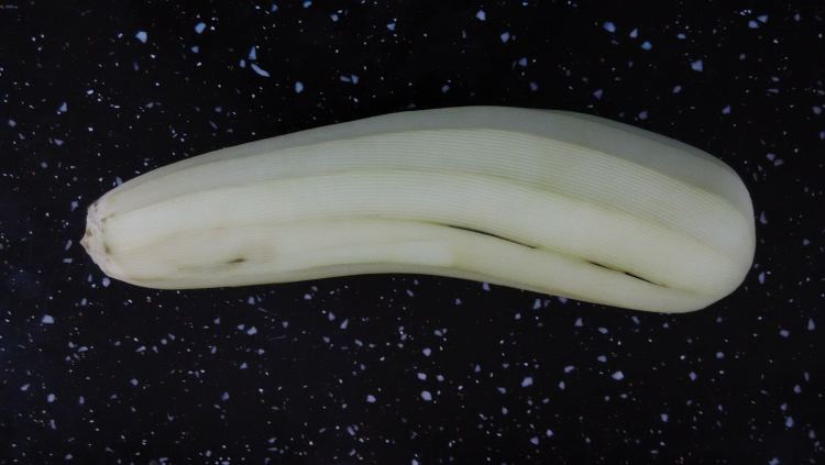 拌蒸茄子步骤2