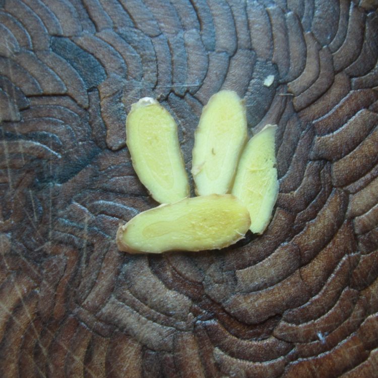 生姜淮山蒸老鸭步骤5