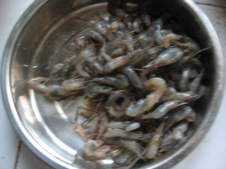 小虾米蛋羹步骤1