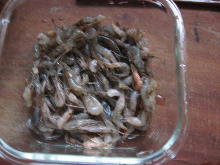 小虾米蛋羹步骤7