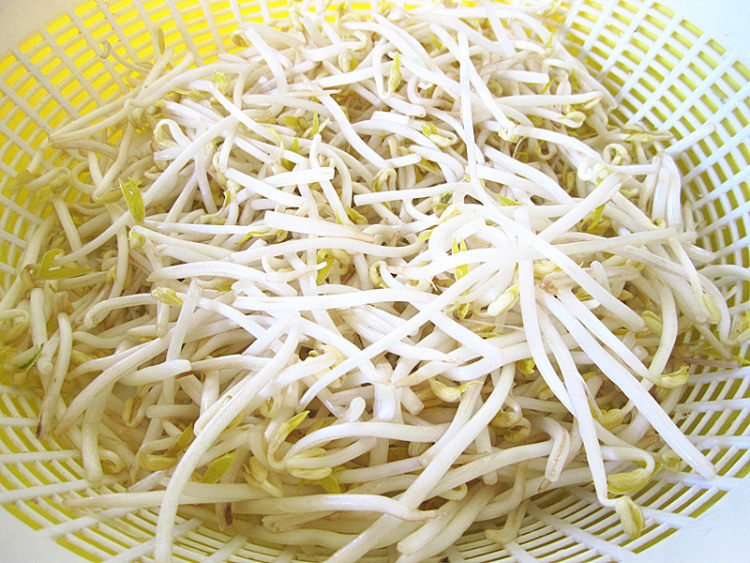 绿豆芽炒红萝卜丝步骤2