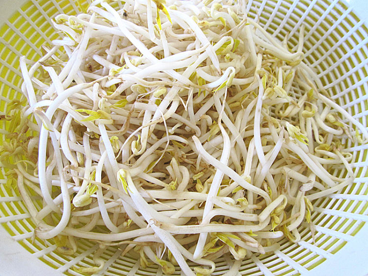 绿豆芽炒红萝卜丝步骤1