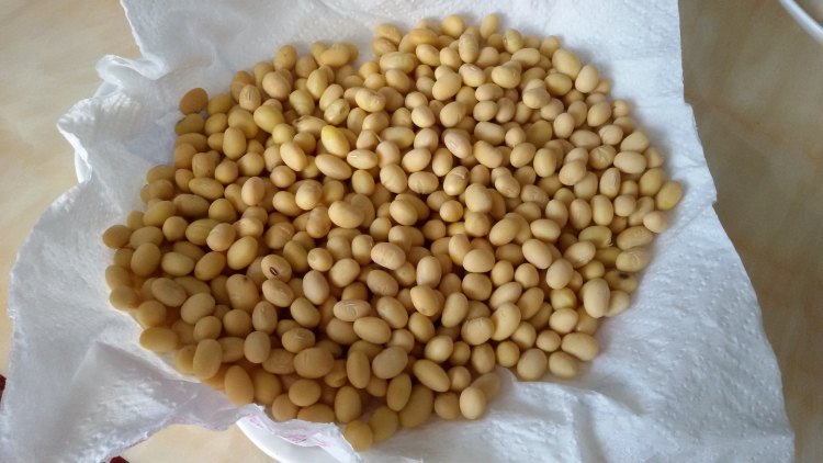 盐香黄豆步骤1