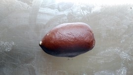 酥皮小刺猬步骤16