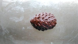 酥皮小刺猬步骤19