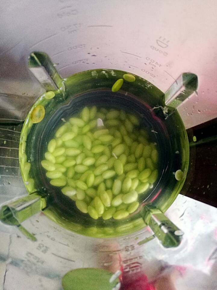 新鲜黄豆浆步骤5