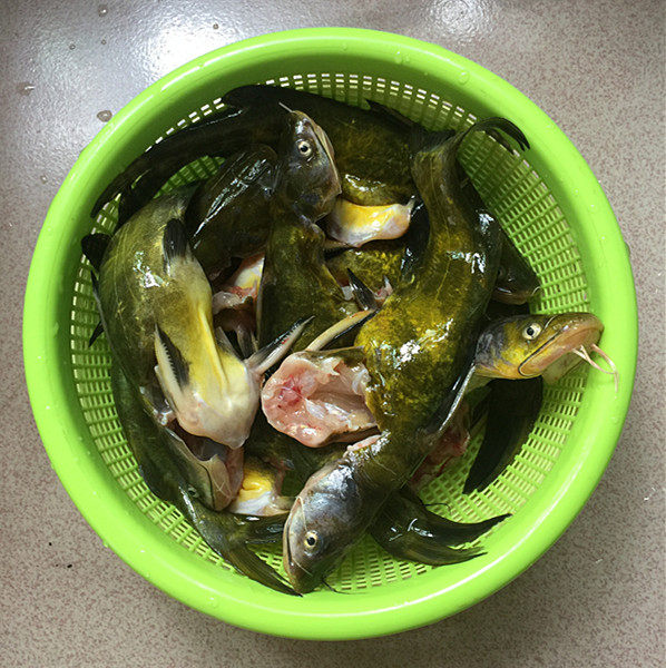 黄骨鱼炖豆腐步骤3