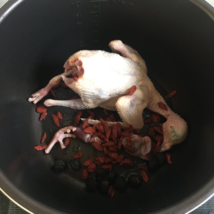 桂圆鸽子汤步骤4