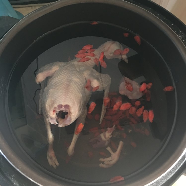 桂圆鸽子汤步骤5