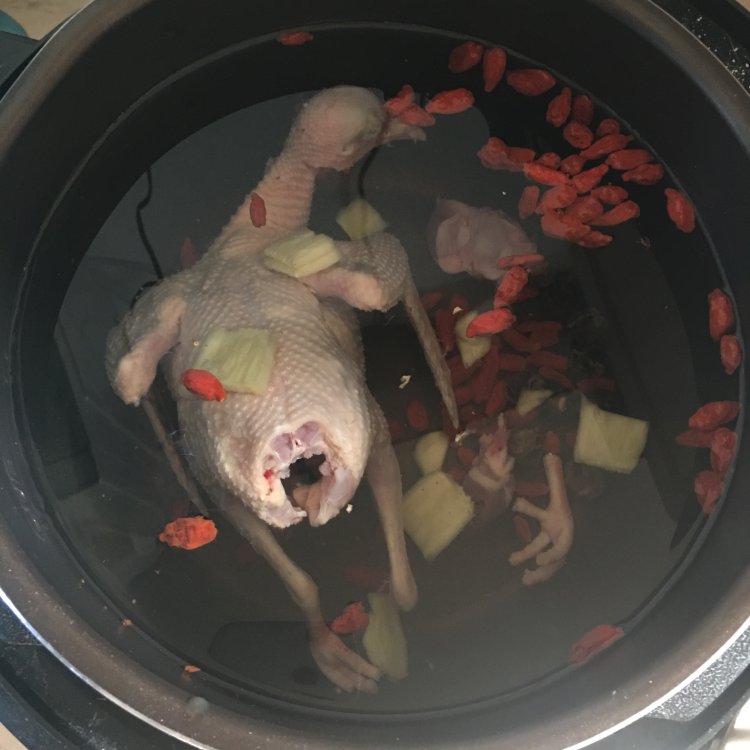 桂圆鸽子汤步骤6