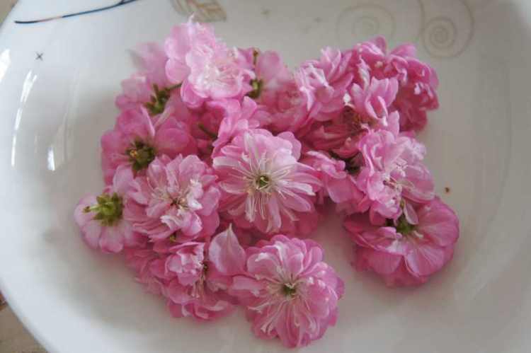 无油桃花旺仔小馒头步骤1