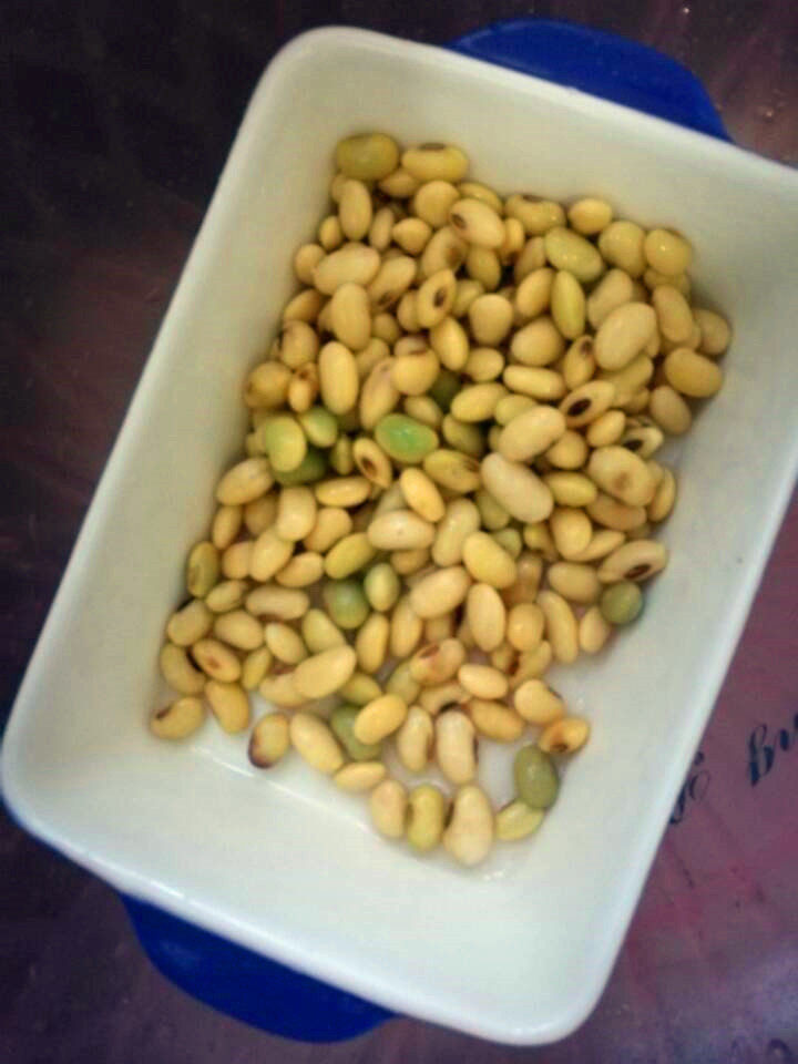 黄豆淮山豆浆步骤1