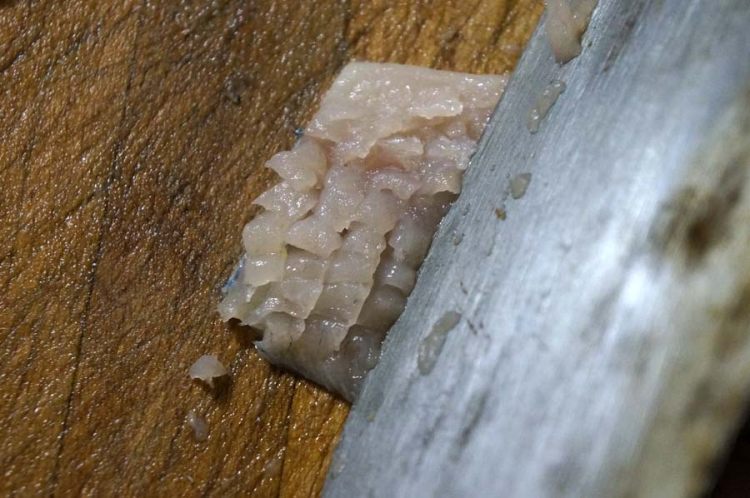 水溜鲈鱼步骤5