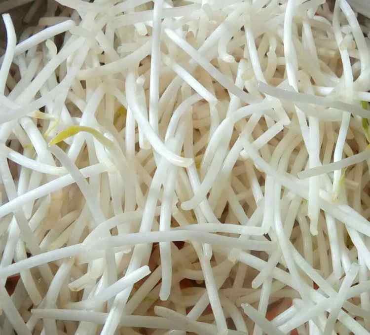 绿豆芽炒肉丝步骤2