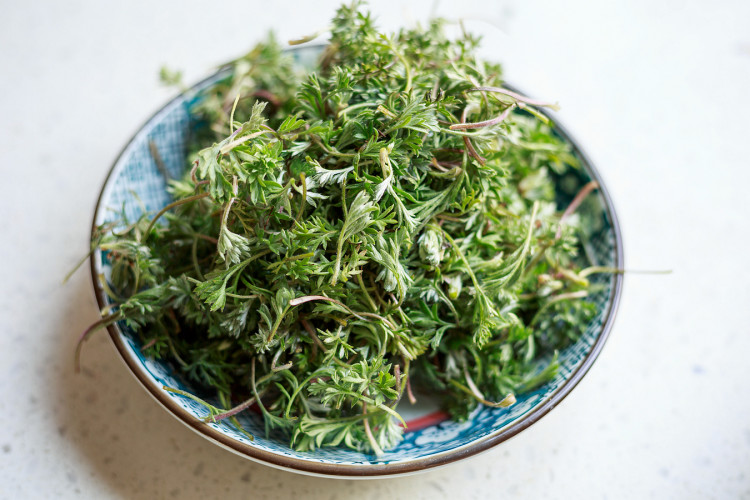 茵陈鸡蛋饼步骤1