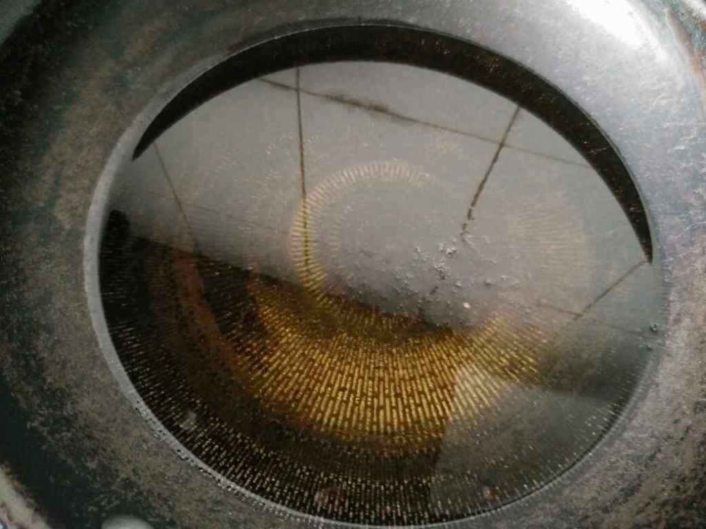 干炸沙丁鱼步骤3