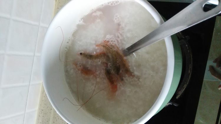 瑶柱虾粥步骤5