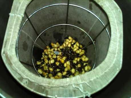 黑麦豆浆步骤4