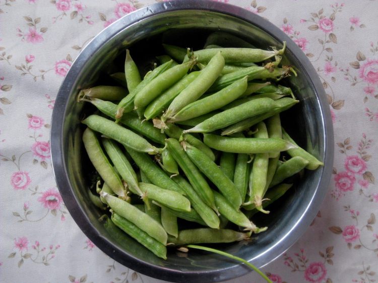 煮豌豆步骤1