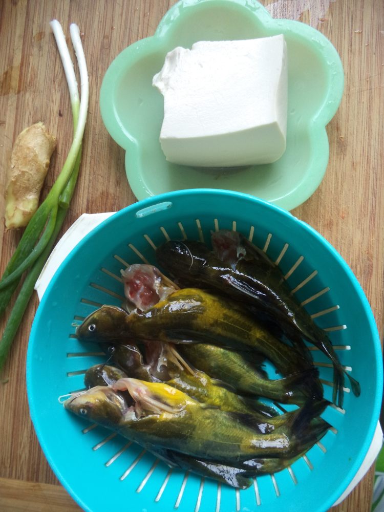 黄骨鱼豆腐汤步骤1