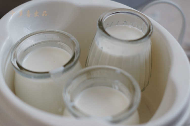 自制蜂蜜酸奶步骤3