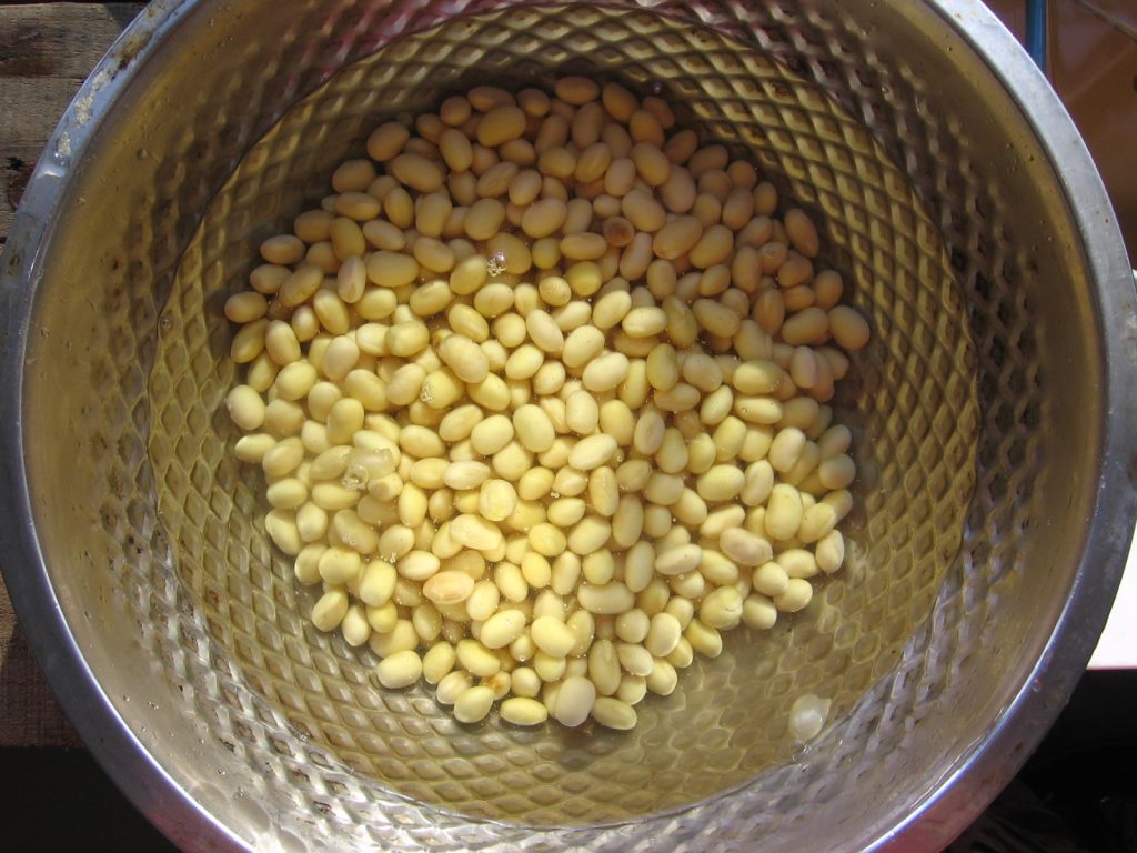 蚝油黄豆步骤1